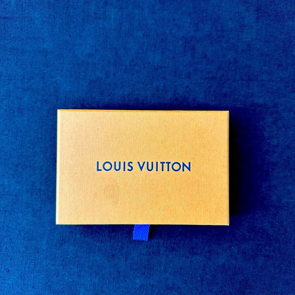 COPY - Louis Vuitton Pocket Organizer